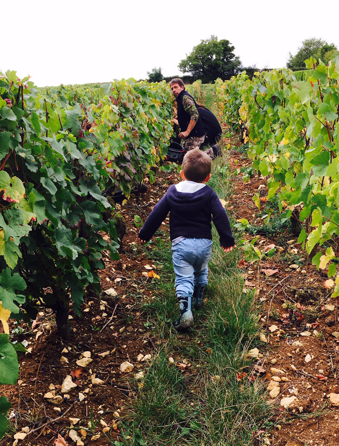 Domaine Legros, vins de Sancerre